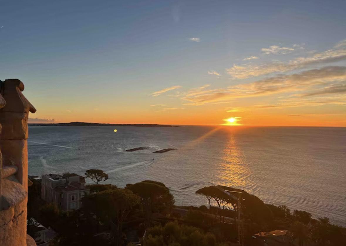 La Terrasse Scott à Cannes